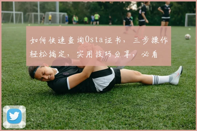 如何快速查询Osta证书，三步操作轻松搞定，实用技巧分享，必看