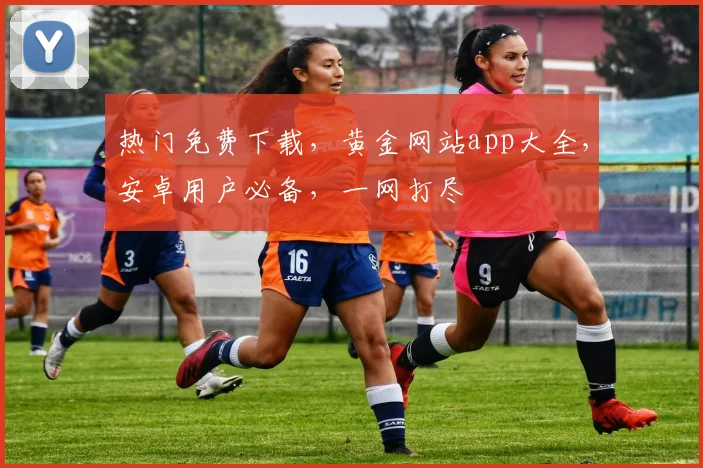 热门免费下载，黄金网站app大全，安卓用户必备，一网打尽