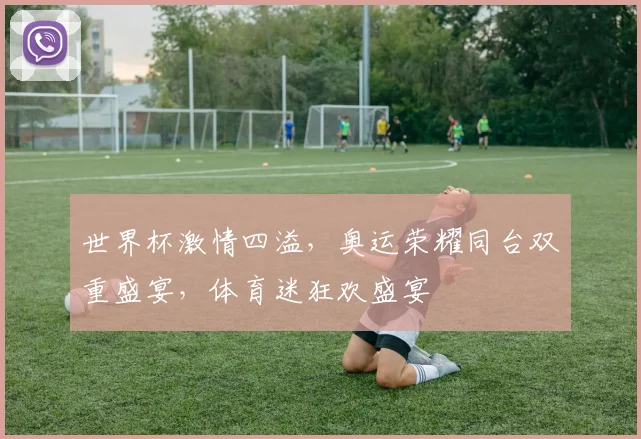 世界杯激情四溢，奥运荣耀同台双重盛宴，体育迷狂欢盛宴